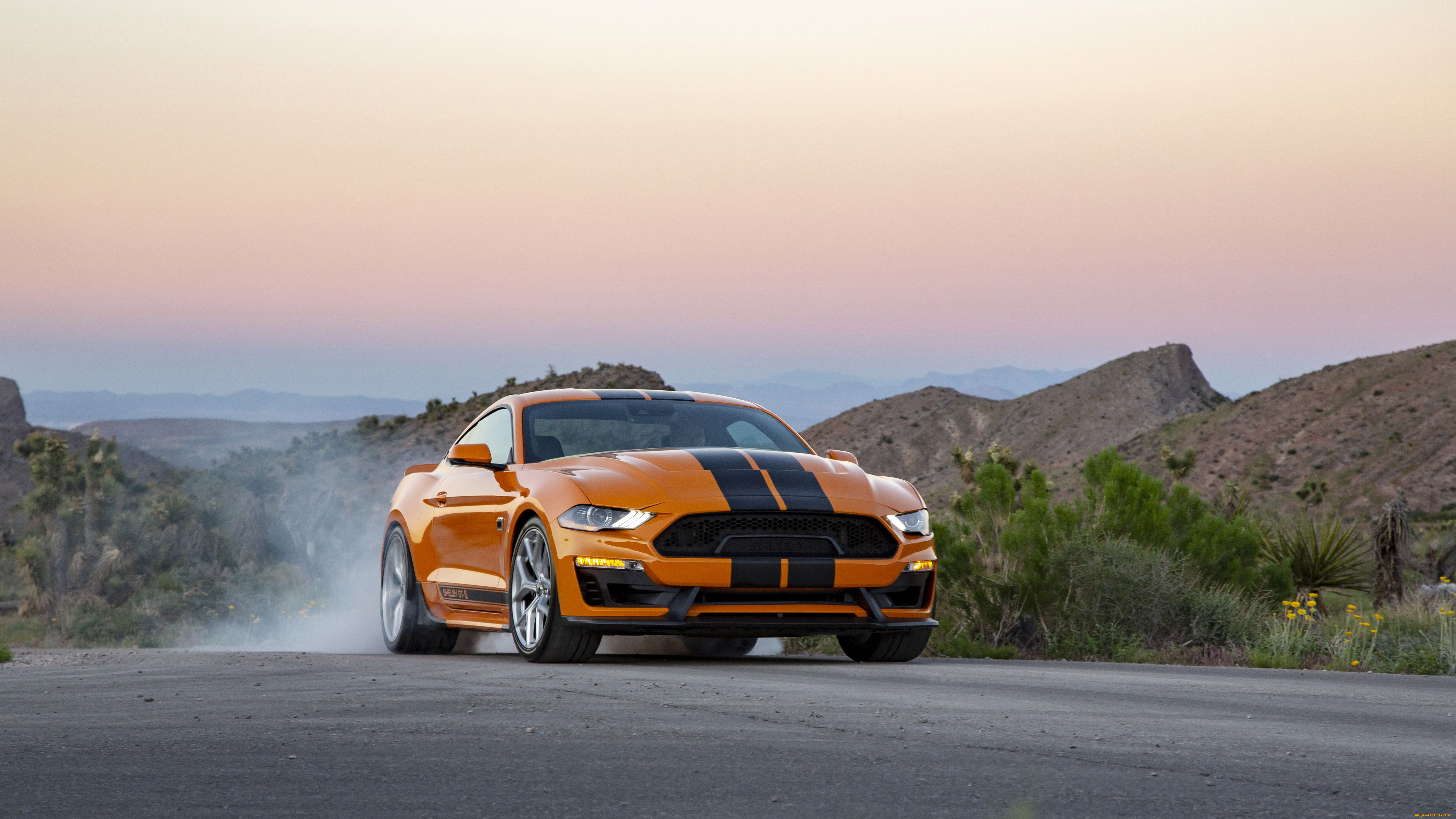 , mustang